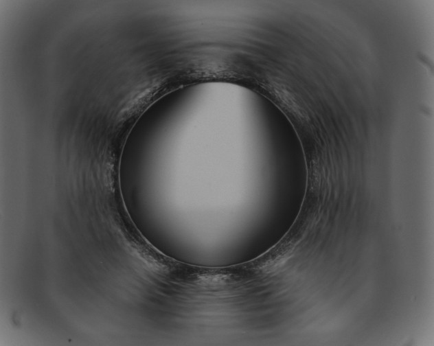 X0000091860450200709191119