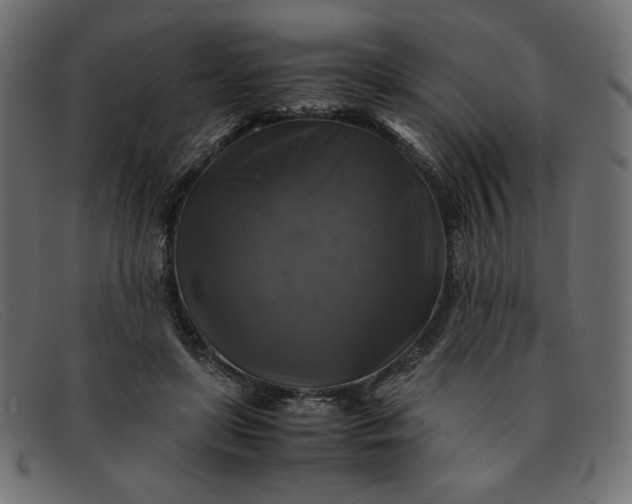 X0000091860451200709191119