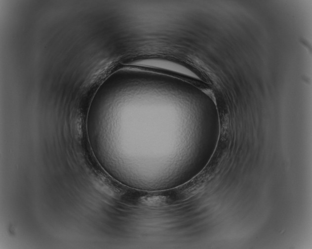 X0000091860452200709191119