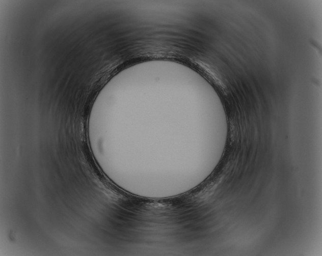 X0000091860453200709191119