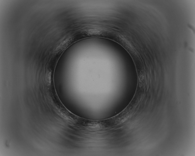 X0000091860454200709191119