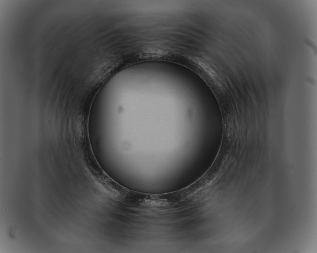 X0000091860455200709191119