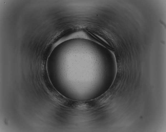 X0000091860456200709191119