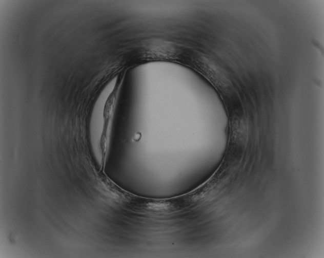 X0000091860457200709191119