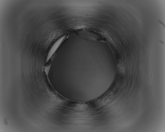 X0000091860458200709191119