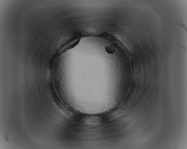 X0000091860459200709191119