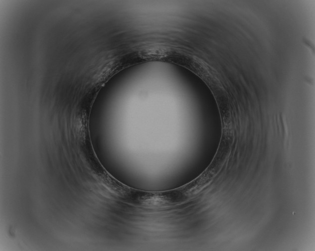 X0000091860460200709191119