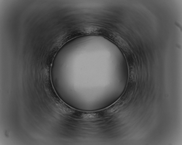 X0000091860461200709191119