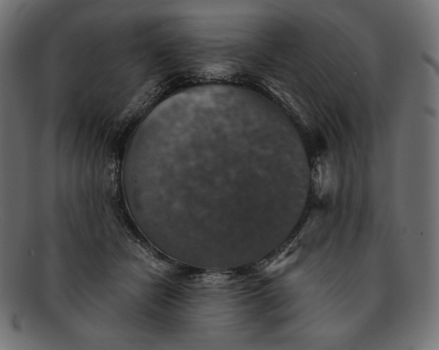 X0000091860462200709191119