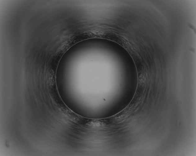 X0000091860464200709191119