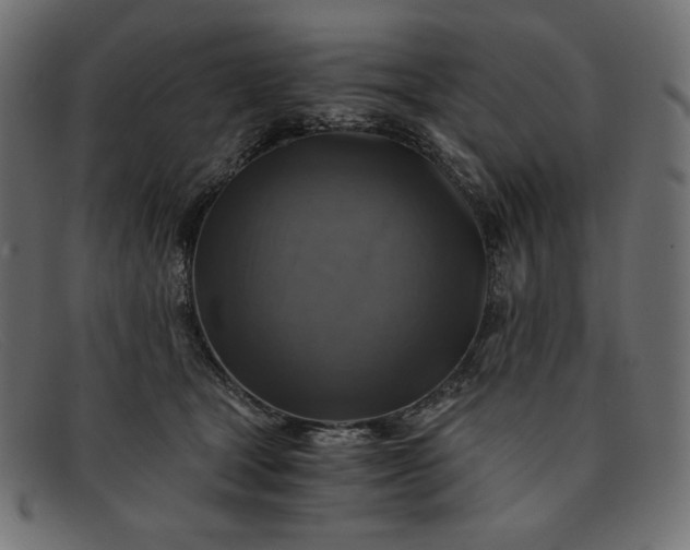 X0000091860465200709191119