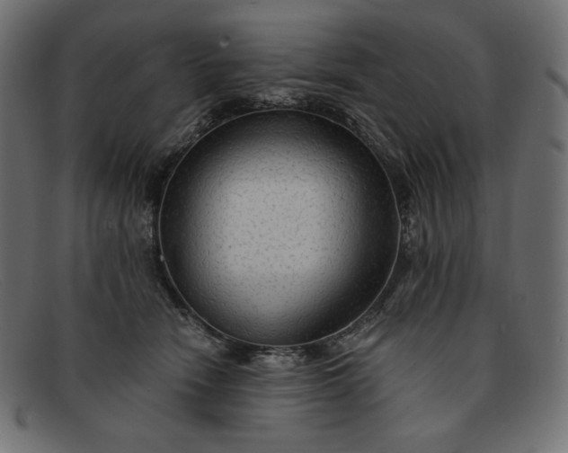 X0000091860466200709191119