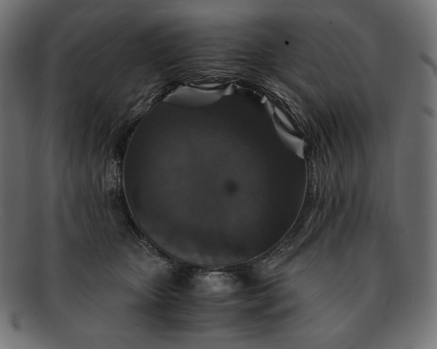 X0000091860467200709191119