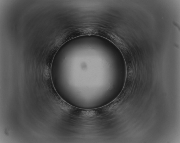 X0000091860469200709191119