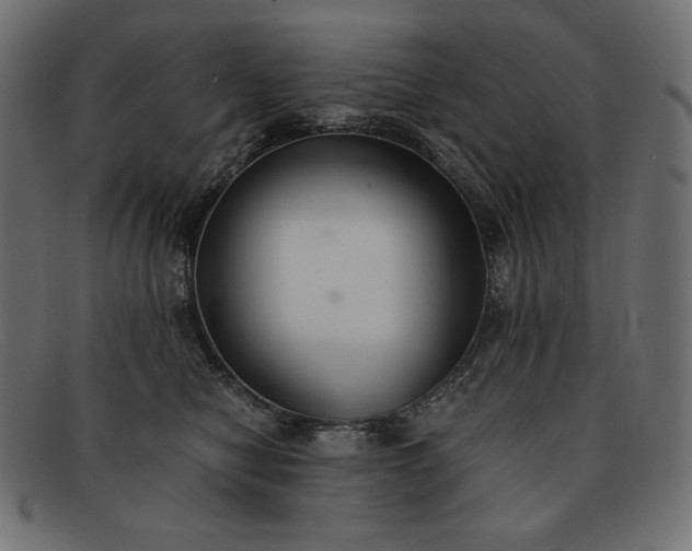 X0000091860470200709191119