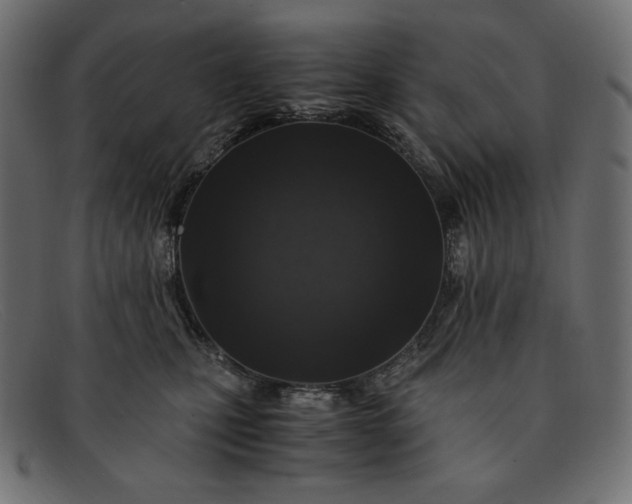 X0000091860471200709191119