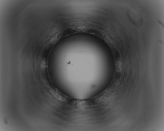 X0000091860472200709191119