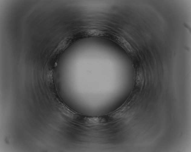 X0000091860473200709191119