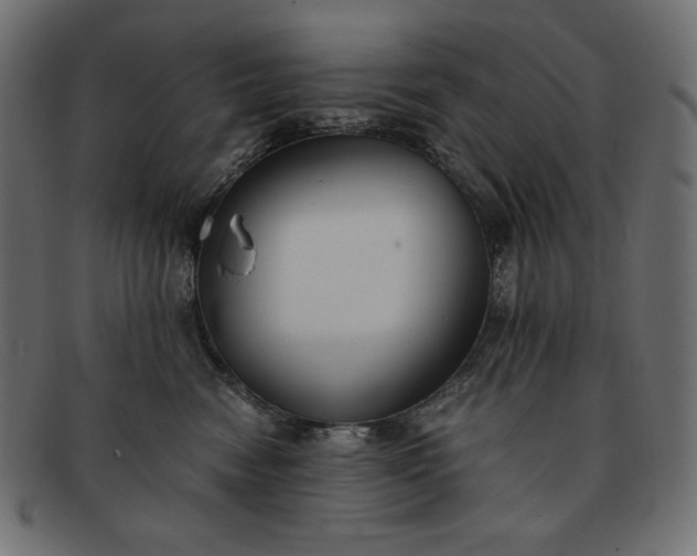 X0000091860474200709191119