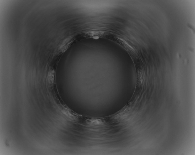 X0000091860475200709191119