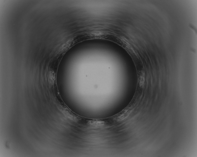 X0000091860476200709191119