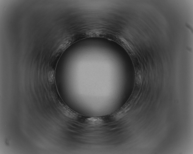 X0000091860477200709191119