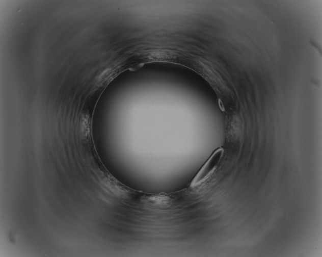 X0000091860478200709191119