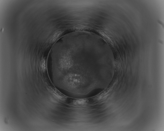 X0000091860479200709191119