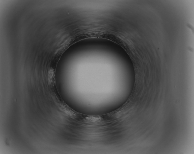 X0000091860480200709191119