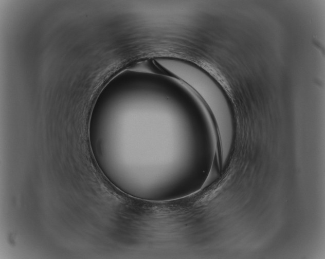 X0000091860481200709191119