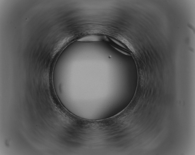 X0000091860482200709191119