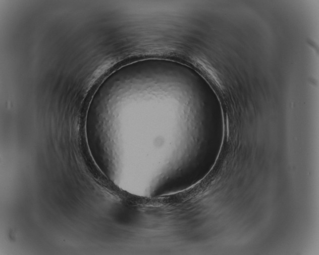 X0000091860483200709191119