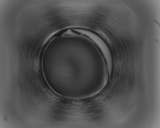 X0000091860484200709191119