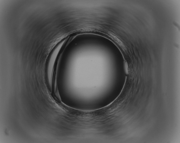 X0000091860485200709191119