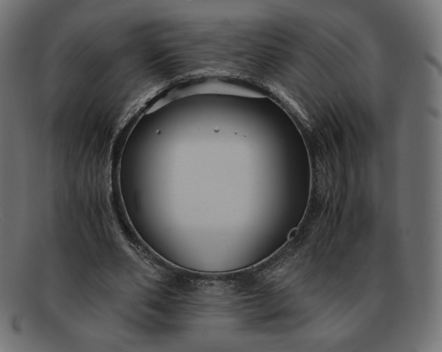 X0000091860486200709191119