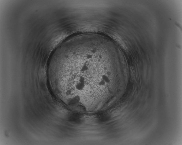 X0000091860487200709191119