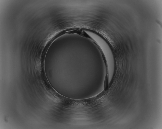 X0000091860488200709191119