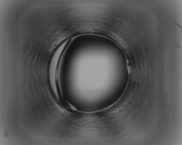 X0000091860489200709191119