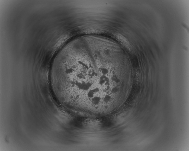 X0000091860491200709191119