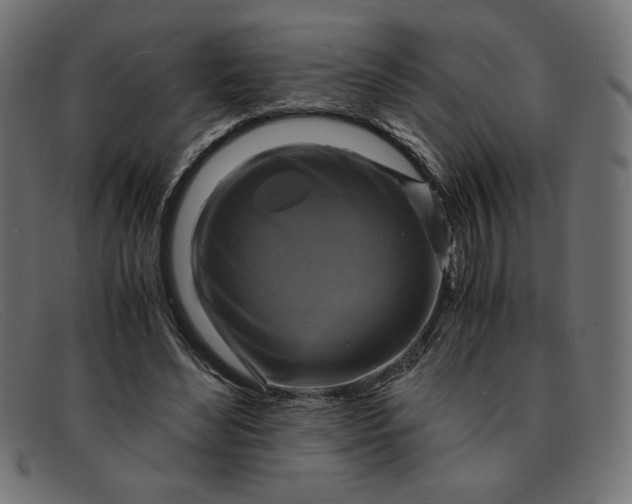 X0000091860492200709191119