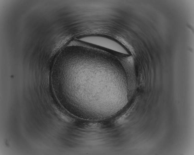 X0000091860493200709191119