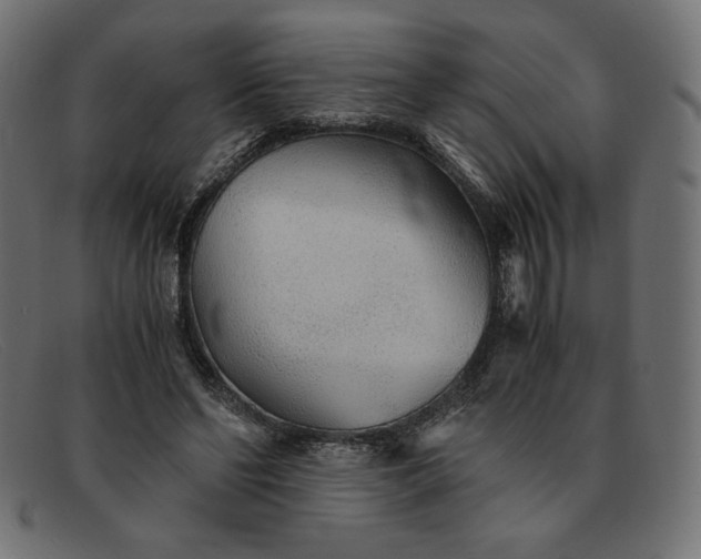 X0000091860494200709191119