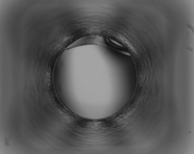 X0000091860497200709191119