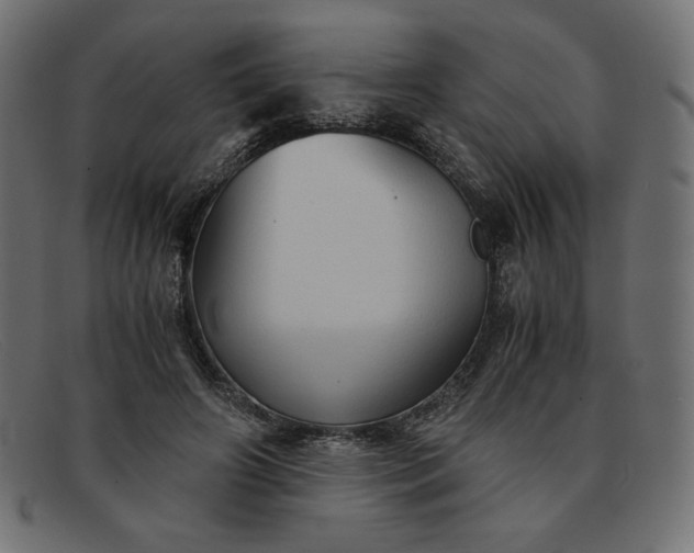 X0000091860498200709191119