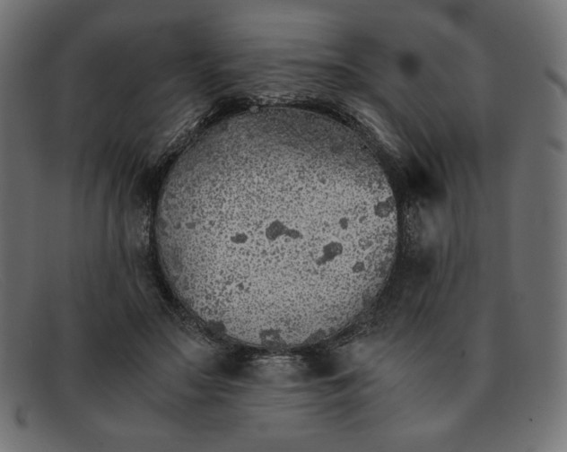 X0000091860499200709191119