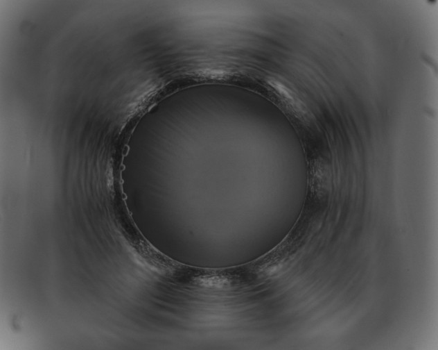 X0000091860500200709191119