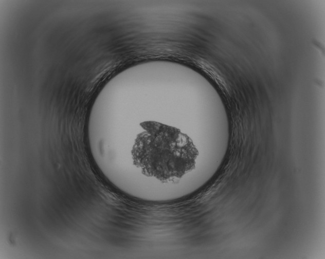 X0000091860501200709191119