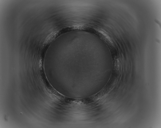 X0000091860502200709191119