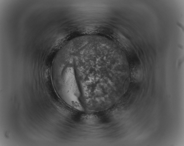 X0000091860503200709191119