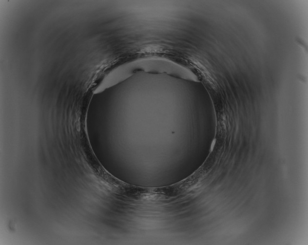 X0000091860504200709191119